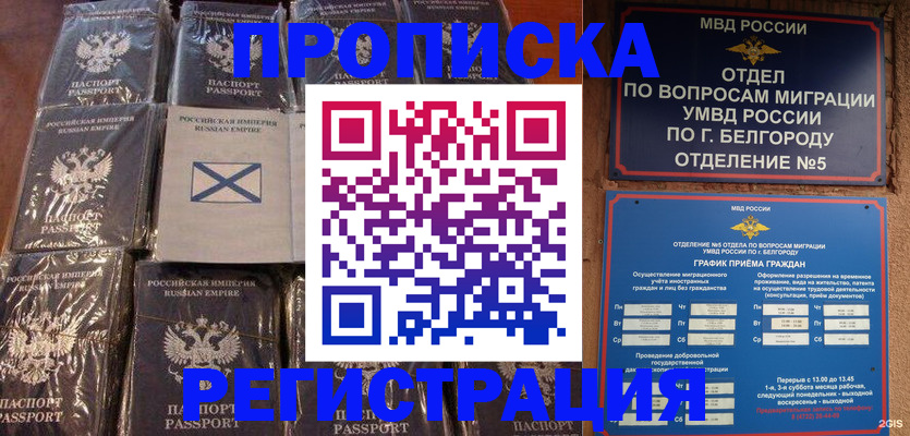 прописка гарантия в Фролово